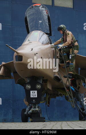 SEPECAT Jaguar Foto Stock