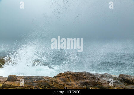 Una nebbia di mattina getta sulla penisola Schoodic al Parco Nazionale di Acadia nel Maine. Foto Stock