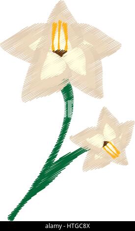 Disegno gladiolus fregio floreale immagine Illustrazione Vettoriale