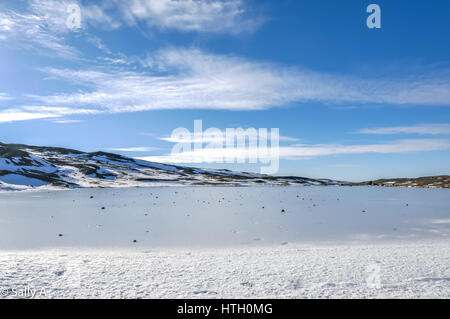 Un inverno congelati lago sul ghiacciaio Svínafellsjökull a Skaftatell national park, Islanda con cielo blu Foto Stock