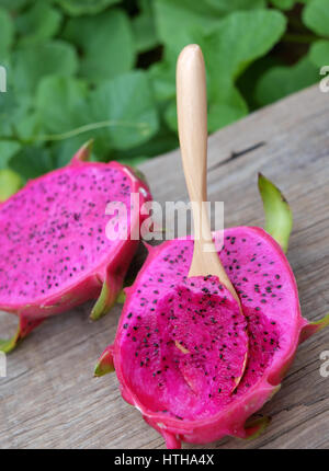 Mangiare frutta drago, frutti tropicali, Vietnam del prodotto di agricoltura, con purle, colore rosa, close up di deliziosi dessert al giardino Foto Stock