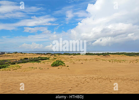 Nuvole drammatico, dune di sabbia e Albemarle Sound visto dalla parte superiore della cresta di fantini parco dello stato in Nag testa sul Outer Banks del North Carolina Foto Stock