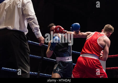 Cambridge, Regno Unito. 10 marzo, 2017. Oxford vs Cambridge. 110Th Boxing gamma corrisponde al Cambridge Corn Exchange. © Guy Corbishley/Alamy Live News Foto Stock