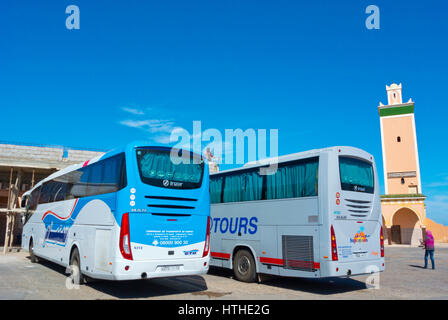 Resto stop, N1 strada tra Laayoune e Dakhla, Lamsid, Sahara Occidentale, amministrata dal Marocco, Africa Foto Stock