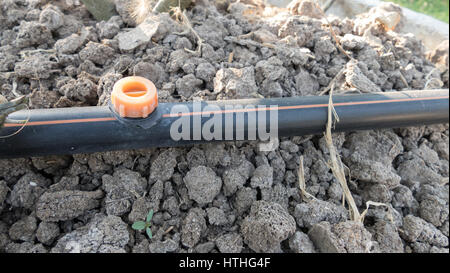 Impianto di irrigazione in funzione di irrigazione di piante agricole Foto Stock