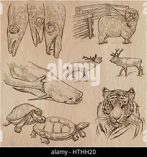 Animali di tutto il mondo. Un disegnati a mano illustrazioni vettoriali. Collezione. Modificabile in strati e gruppi. Illustrazione Vettoriale