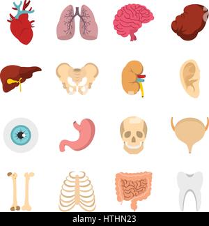 Gli organi umani impostare le icone in stile piatto isolato su sfondo bianco Illustrazione Vettoriale