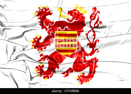 Bandiera della provincia di Limburgo, Belgio. 3D'illustrazione. Foto Stock