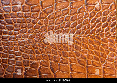 Scale marrone macro sfondo esotico, goffrata sotto la pelle di un rettile, Coccodrillo. Per sfondo, il substrato, la composizione utilizzo. Con posto per il t Foto Stock