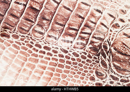 Scale marrone macro sfondo esotico, goffrata sotto la pelle di un rettile, Coccodrillo. La texture vera pelle close-up, cognac toni, la tendenza di moda. Foto Stock