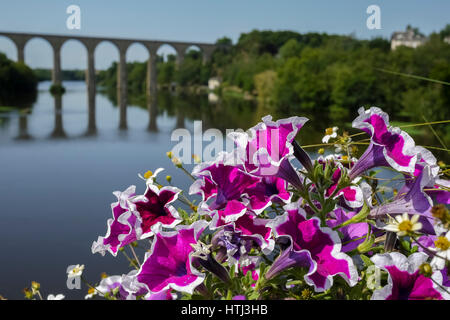 Fiori colorati nei pressi di un viadotto sul fiume Vienne, l'Isle-Jourdain, Francia Foto Stock