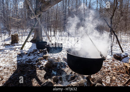 Tre ghisa nera pentole, caldrons, navi, appesa sopra il fuoco per far bollire il SAP per produrre lo sciroppo d'acero in un sciroppo di acero farm di produzione / sugar bush. Foto Stock