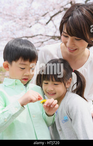 Giapponese madre e bambini con fiori di ciliegio in un parco della città Foto Stock