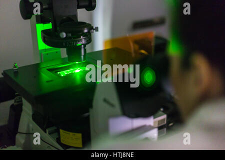 La scienza della vita microscopia ricercatore in genetica laboratorio scientifico. Foto Stock