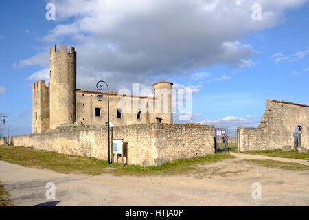 Chateau d'Essalois in Chambles vicino a Saint Etienne, Francia Foto Stock