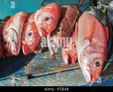Pesce rosso in vendita su strada Foto Stock