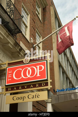 La Harvard Coop (Book Store) in Harvard Square, Cambridge Massachusetts Foto Stock