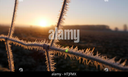 Il Rising Sun si illumina di brina su una recinzione che circonda un campo invernale nella campagna della Germania del nord. Foto Stock