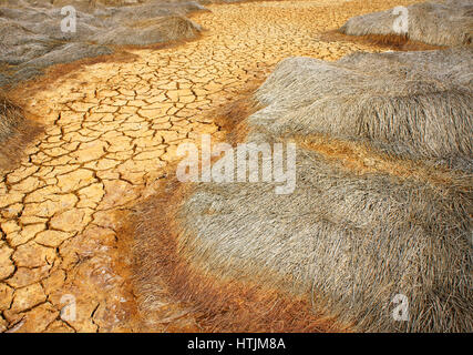 Il fieno sulla terra di siccità, incredibile, arida terra incrinato, cambiamenti climatici fatti agricoltura plantation riduz, il riscaldamento è un problema mondiale, per effetto serra Foto Stock