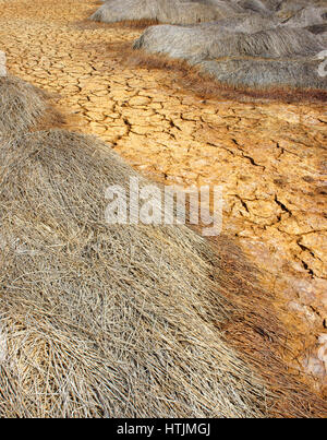 Il fieno sulla terra di siccità, incredibile, arida terra incrinato, cambiamenti climatici fatti agricoltura plantation riduz, il riscaldamento è un problema mondiale, per effetto serra Foto Stock