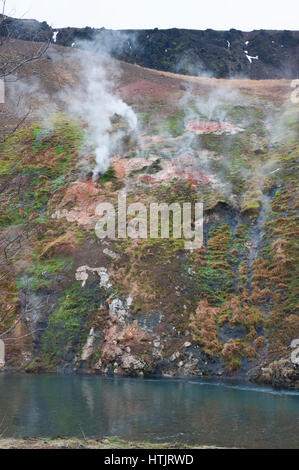 Sorgenti calde geotermali o fumarole,Hveragerdi, Islanda Foto Stock