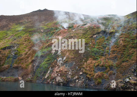 Sorgenti calde geotermali o fumarole,Hveragerdi, Islanda Foto Stock