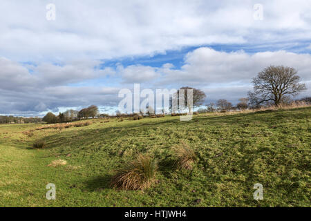 Il Vallo di Adriano: il Fosso del nord un po' ad ovest di Birdoswald Roman Fort, dal corso della parete di fondo erboso, vicino Casa Alta legno, Cumbria, Inghilterra Foto Stock