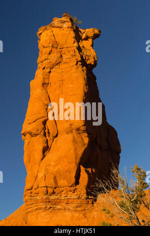 Fred Flinstone Sphire formazione di roccia, Kodachrome Basin State Park, UT, STATI UNITI D'AMERICA Foto Stock