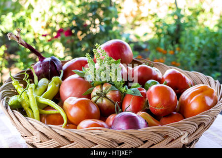 In prossimità di molte freschi pomodori rossi grandi tipo di frutta. Foto Stock