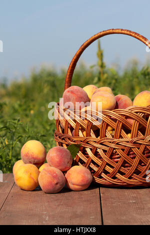 Cesto in Vimini pieno di pesche fresche Foto Stock