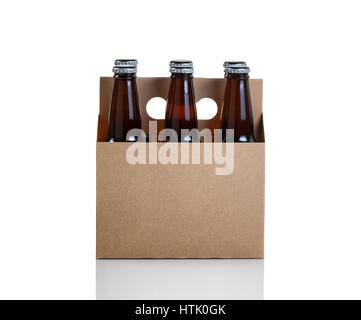Sei bottiglie di vetro di birra in cartone marrone vettore isolato su bianco con la riflessione Foto Stock