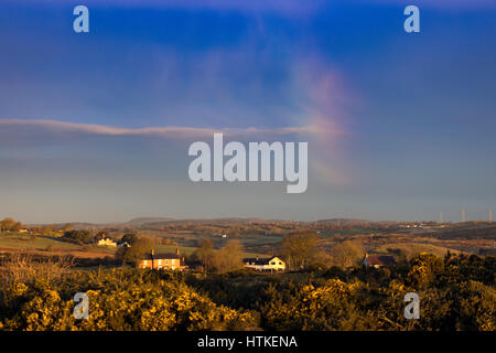 Flintshire, Regno Unito. 13 marzo 2017. Avviamento a freddo al giorno con tasche di massa congelata nelle zone rurali Flintshire un sole cane o (plurale parhelia) è visualizzabile nel cielo sopra Halkyn Mountain, Flintshire Foto Stock