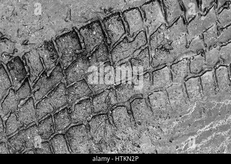 Tracce di pneumatici su un wet strada fangosa, sfondo astratto Foto Stock