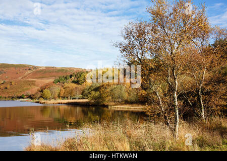 Llyn Geirionydd lago in Gwydyr Forest Park in autunno nel Parco Nazionale di Snowdonia (Eryri). Trefriw, Conwy, il Galles del Nord, Regno Unito, Gran Bretagna Foto Stock