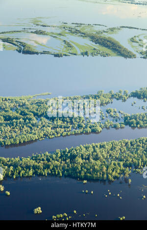 Terreno allagati in lowlend del grande fiume Foto Stock