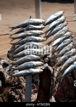 Essiccazione di pesce su pali di legno in Costa del Sol, Andalusia, Spagna, Europa Foto Stock