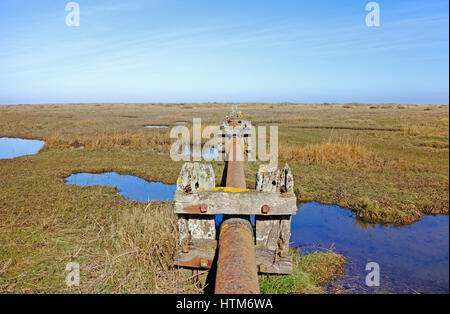 Una vista di matura la palude salata con il liquame in disuso tubazione sulla Costa North Norfolk a Stiffkey, Norfolk, Inghilterra, Regno Unito. Foto Stock