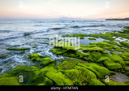 Puntello roccioso coperto con alghe verdi con lo splendido oceano nelle prime ore del mattino con vedute del vulcano e delle montagne. Indonesia Bali Foto Stock