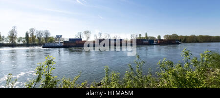 Buelhl am Rhein, Germania: Chiatta per il trasporto di container sul Reno Foto Stock