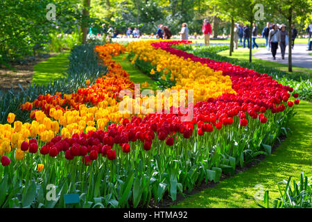 Tulipani colorati nel parco Keukenhof, Olanda Foto Stock