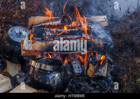 Campfire, Lapponia, Svezia Foto Stock