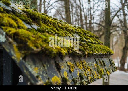 Moss su un vecchio tetto in legno in inverno Foto Stock