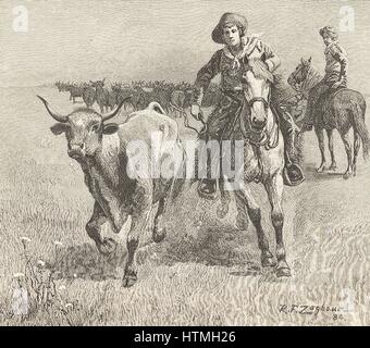 Cowboy andando dopo un manzo che ha lasciato la mandria durante una unità di bestiame: Montana. Incisione, 1885. Foto Stock