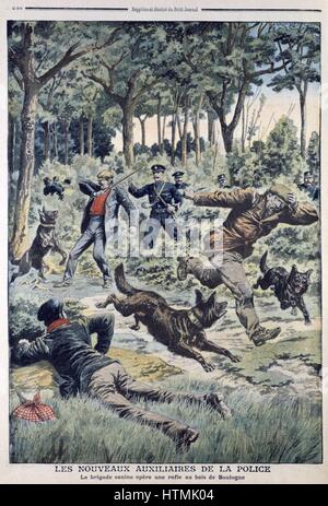 Recentemente introdotta la sezione del cane della polizia di Parigi effettuare arresti nel Bois de Boulogne. Da "Le Petit Journal', Parigi, 28 luglio 1907. Foto Stock