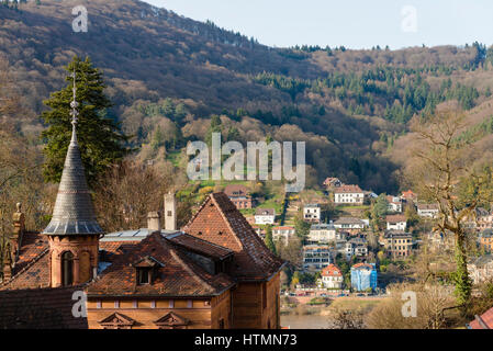 Heidelberg: Vista dal castello Foto Stock