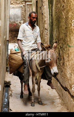 Lamu, Kenya - 11 giugno: residente dell'arcipelago di Lamu seduto sull'asino che lo serve per muoversi su un'isola come pure per il trasporto Foto Stock