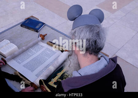 Un ebreo religioso che indossa un cappello per le orecchie Topolino legge la Megillah o il rotolo di Esther durante il festival ebraico di Purim nel Muro Occidentale o Kotel nella città vecchia Gerusalemme est Israele Foto Stock