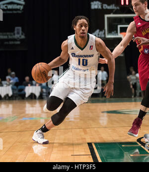 Reno, Nevada, Stati Uniti d'America. 13 Mar, 2017. Reno Bighorn Guard Isaia cugini (10) aziona contro Fort Wayne Mad Ant Guard NICK ZEISLOFT (15) durante l'NBA D-League gioco di basket tra il Reno Bighorns e il Fort Wayne Mad formiche al Reno eventi centro a Reno in Nevada. Credito: Jeff Mulvihill/ZUMA filo/Alamy Live News Foto Stock