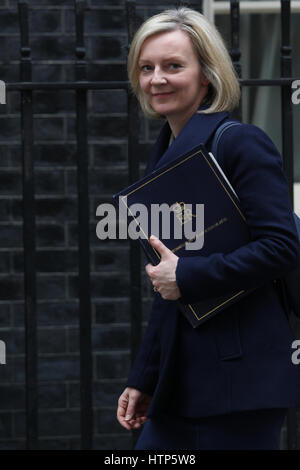 Londra, Regno Unito. Xiv mar, 2017. elizabeth truss mp Lord Cancelliere e segretario di Stato per la giustizia visto lasciare 10 Downing street. Credito: wfpa/alamy live news Foto Stock