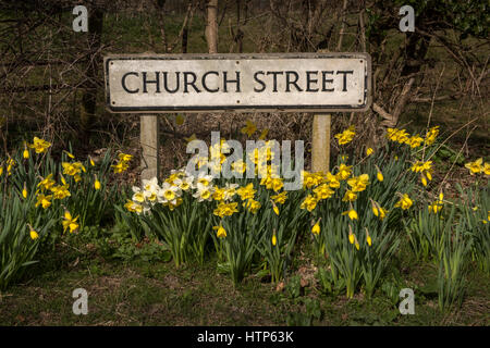 Thriplow, Cambridgeshire, Regno Unito. Xiv Mar, 2017. Il villaggio di Thriplow ancora una volta ospita ogni anno il Thriplow Daffodil Festival questo weekend del XVIII e XIX di marzo. Il festival è iniziato nel 1969 per raccogliere fondi per un nuovo tetto della chiesa e da allora ha raccolto oltre £400.000 per le associazioni di beneficenza locali. Quest'anno i principali sarà devoluto all'East Anglia ospizio per bambini (ciascuno) in aggiunta ai fondi che vengono assegnati annualmente alle organizzazioni di beneficenza all'interno della parrocchia. Credito: BRIAN HARRIS/Alamy Live News Foto Stock